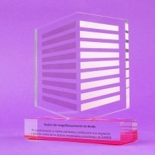 Trofeo de metacrilato SAREB