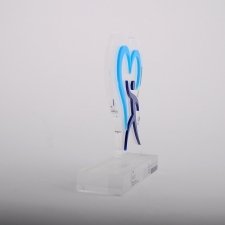 Trofeo de metacrilato INSST