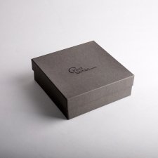 Trofeo de metacrilato INSST