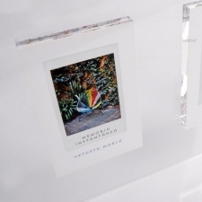 Vitrina Metacrilato Vetusta Morla