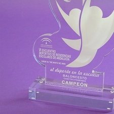 Trofeo Metacrilato El Deporte En La Escuela