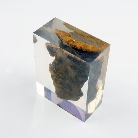 Oclusión ROCA SALVAJE